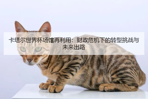 ka-ta-er-shi-jie-bei-chang-guan-zai-li-yong-cai-zheng-wei-ji-xia-de-zhuan-xing-tiao-zhan-yu-wei-lai-chu-lu-2-421.jpg